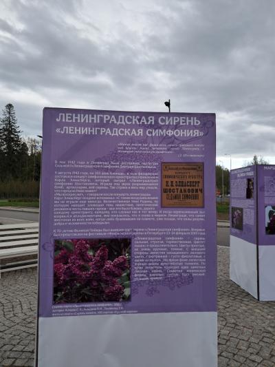 Отзыв о Возрожденный шедевр Растрелли Фото 1