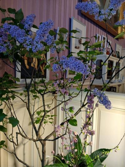 Отзыв о Александровский дворец  Фото 4