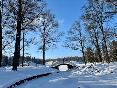 Отзыв о Зимняя сказка  Фото 2