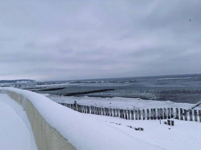 Отзыв о г. Калининград, Северо-западный федеральный округ  Фото 1
