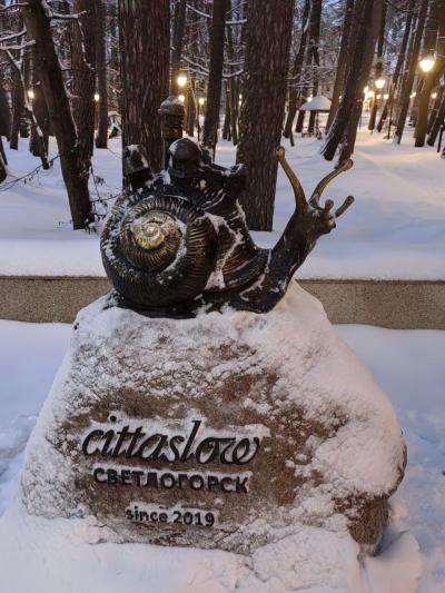 Отзыв о Светлогорск Фото 7