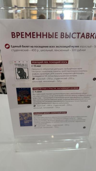 Отзыв о Калининградский областной музей изобразительных искусств Фото 5