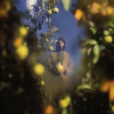 Выставка «Воображая крепость»