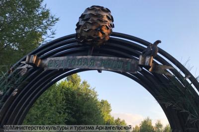 Фестиваль кедровой рощи